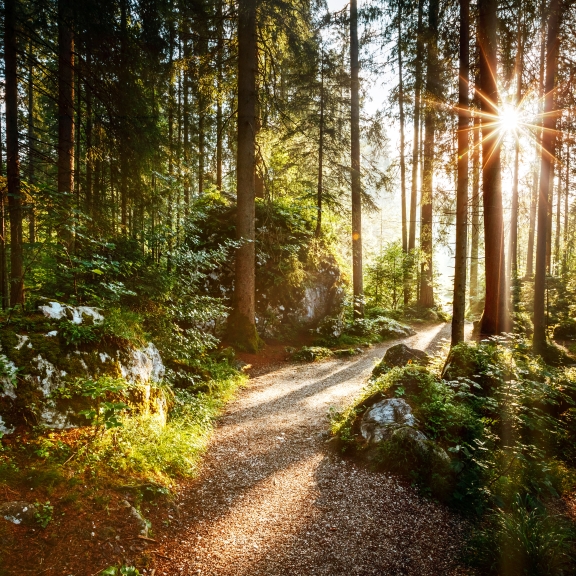 Nature